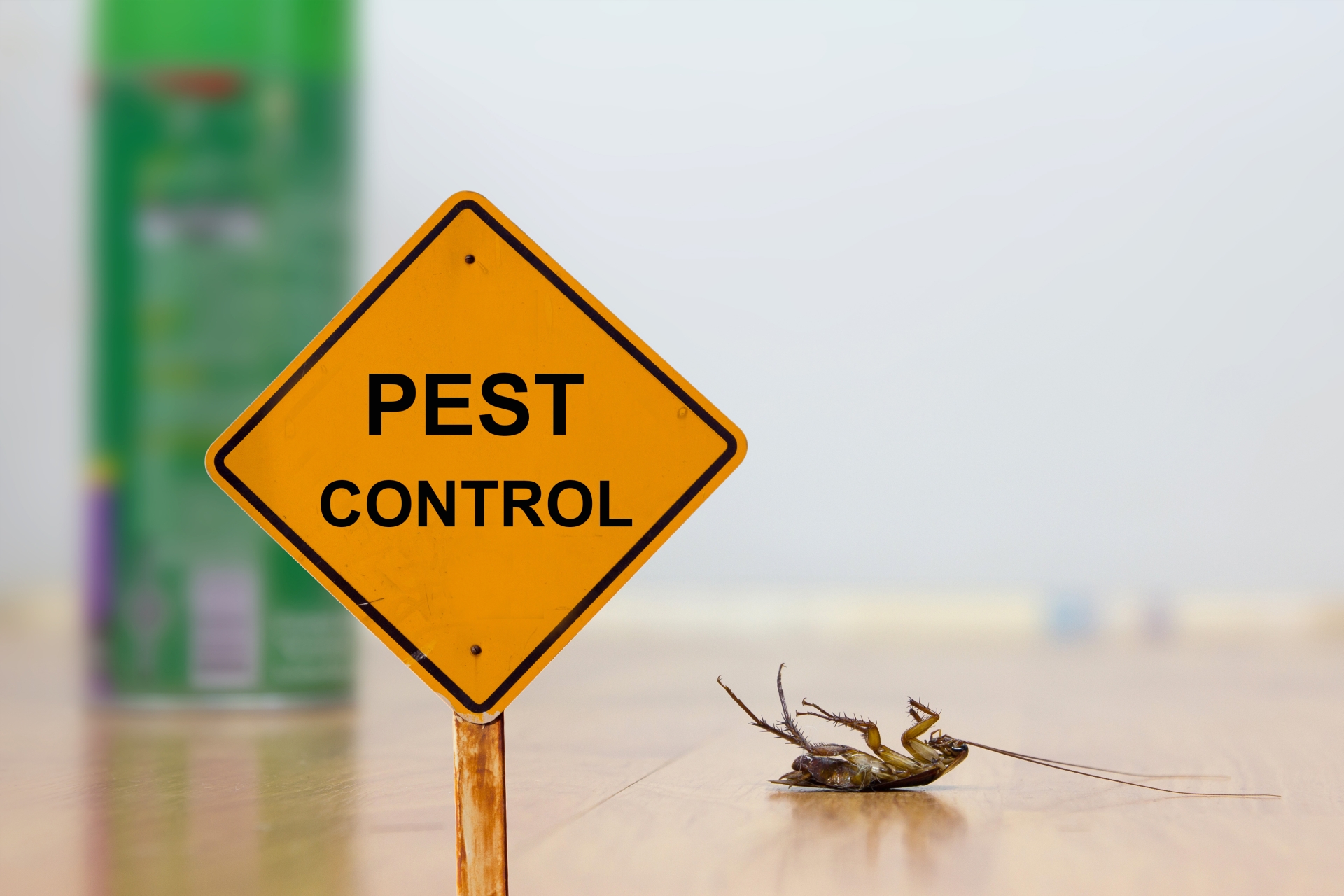 24 Hour Pest Control, Pest Control in Merton, SW19. Call Now 020 8166 9746