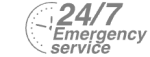 24/7 Emergency Service Pest Control in Merton, SW19. Call Now! 020 8166 9746